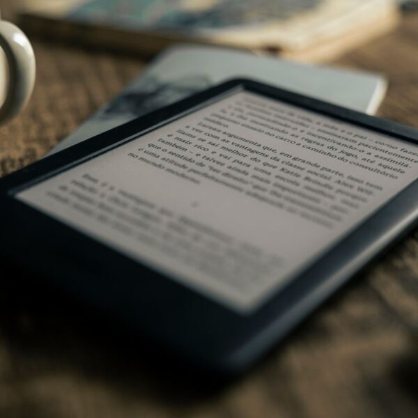 E-Book: Financial Modelling Basics